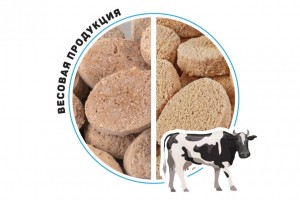 Котлеты "Деревенские" в панировке