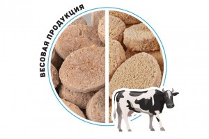 Котлеты "Деревенские"